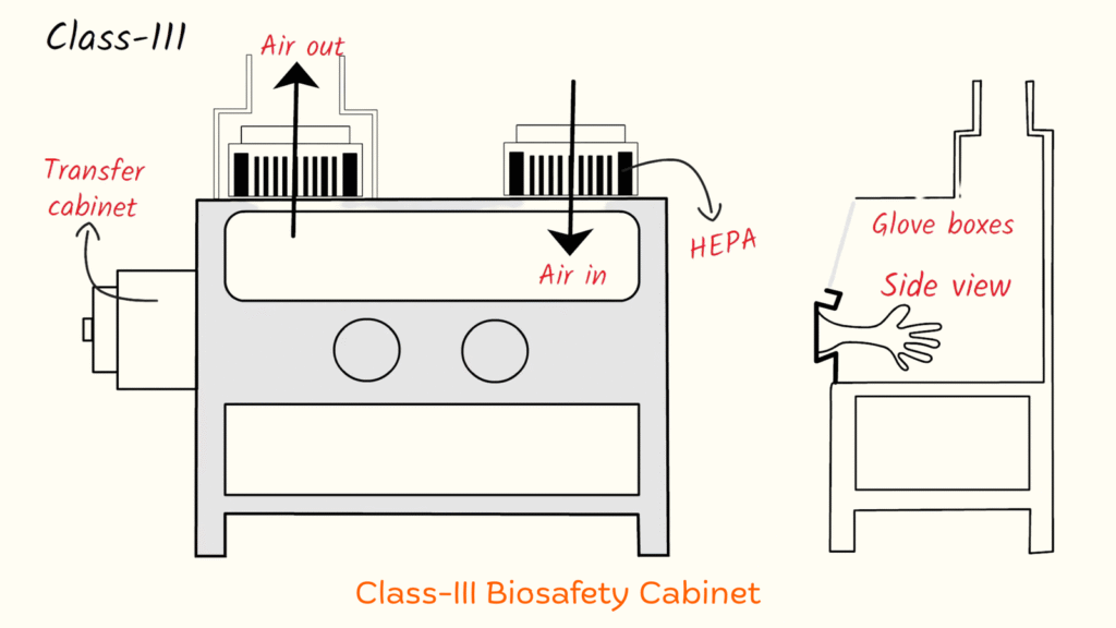 Class-3-biosafety-cabinet-microbiology-mantra