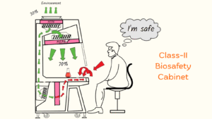 Read more about the article Laminar Airflow Cabinets and Biosafety Cabinets: Functions, Differences, and Types